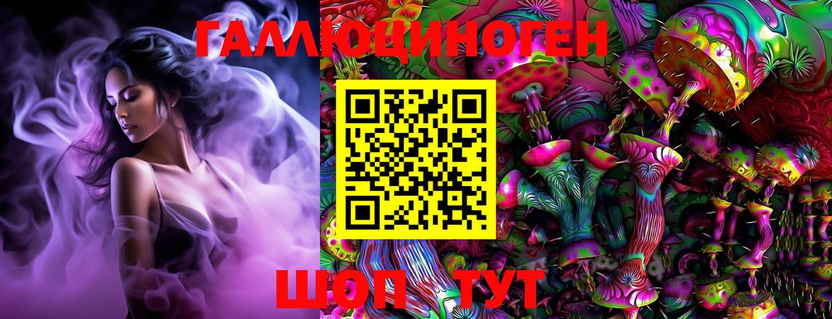 Псилоцибиновые грибы Psilocybine cubensis Майкоп