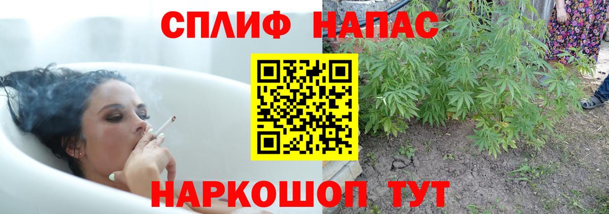 Канабис Amnesia  Бошки Шишки план  Майкоп  Вход с VPN 